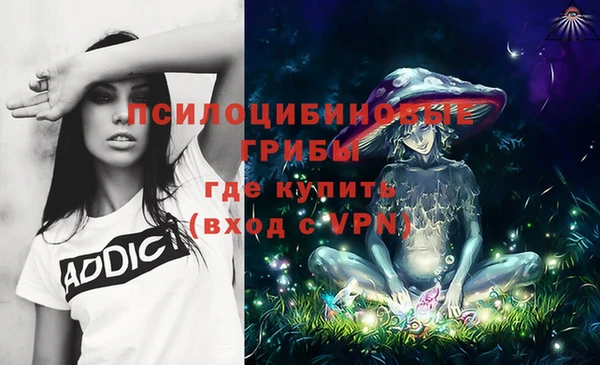 соль ск Абаза