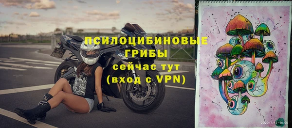 бошки Абинск