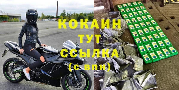 соль ск Абаза