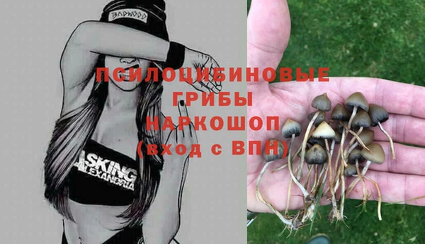 бошки Абинск