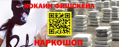 дмт Кингисепп
