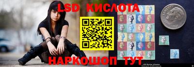 дмт Кингисепп