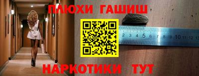 дмт Кингисепп