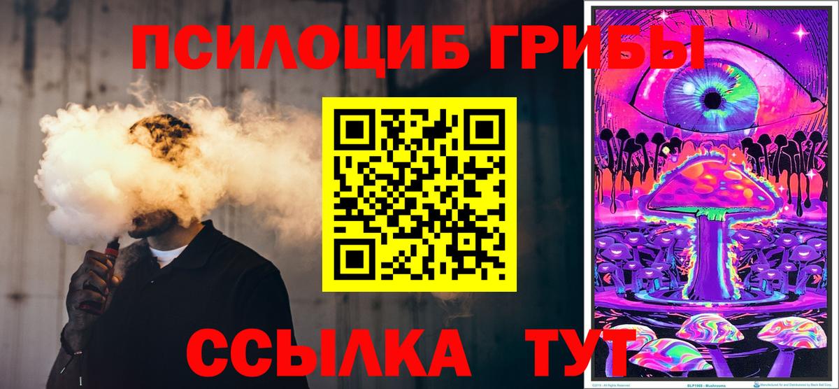 Галлюциногенные грибы Cubensis  Вход с VPN  Электросталь 